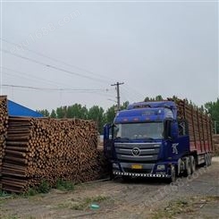 亿展木业 杉木桩耐腐耐磨田野 支护松木桩工程防护用