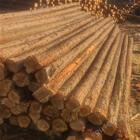 亿展木业 杉木桩 木质细腻密实 表面光洁无瑕疵 厂家定制批发